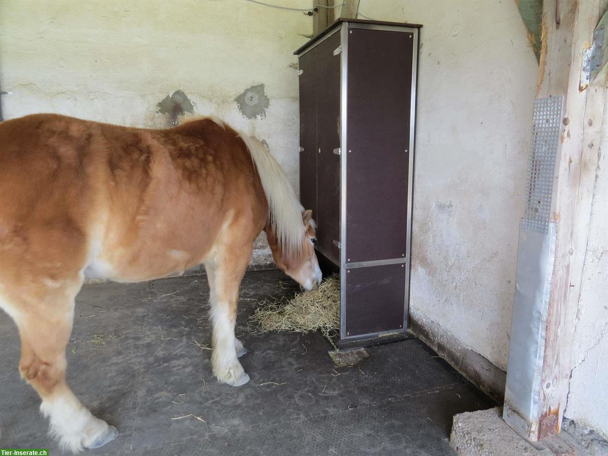 Bild 5: Neuer Heuschrank mit 4 Portionen unsere Portionsraufe