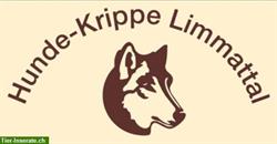 Hunde-Krippe Limmattal | Harmony für Mensch und Tier