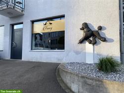 Hundesalon Fancy in Jonschwil, dipl. Hundecoiffeuse, SVBT