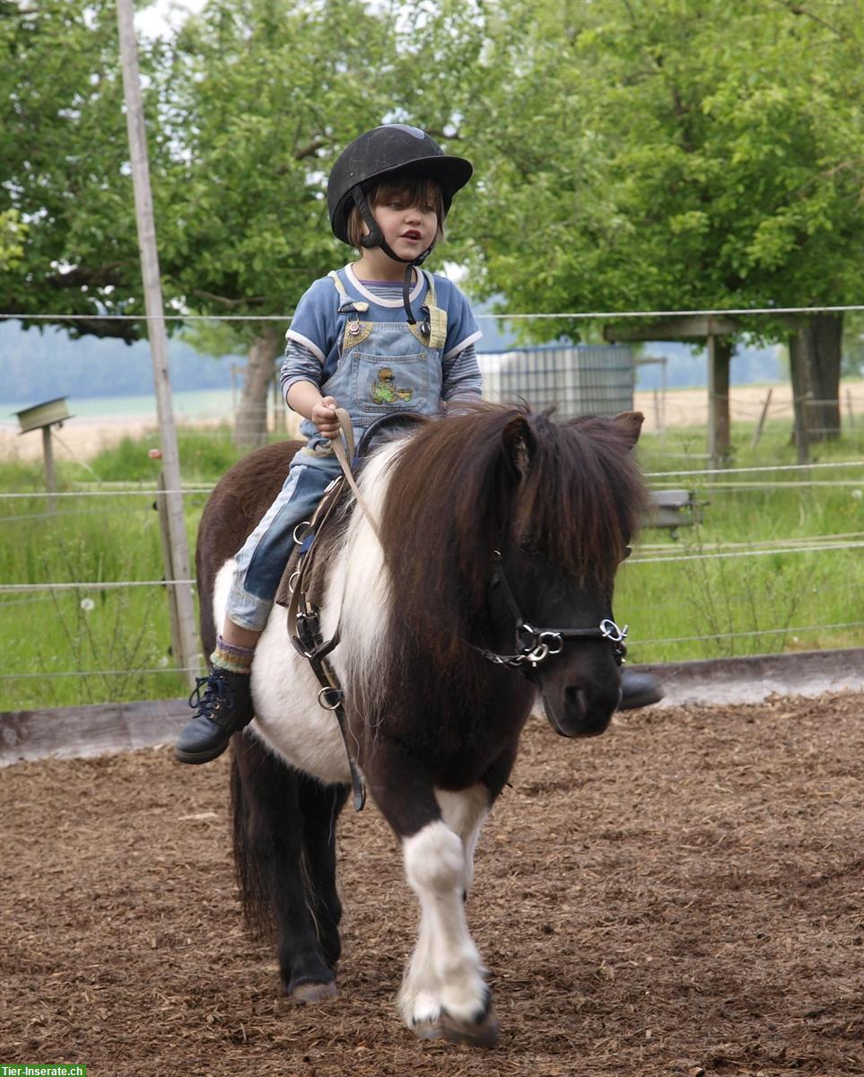 Bild 2: Reittherapie (EMR registriert), Reitunterricht, Akademische Reitkunst