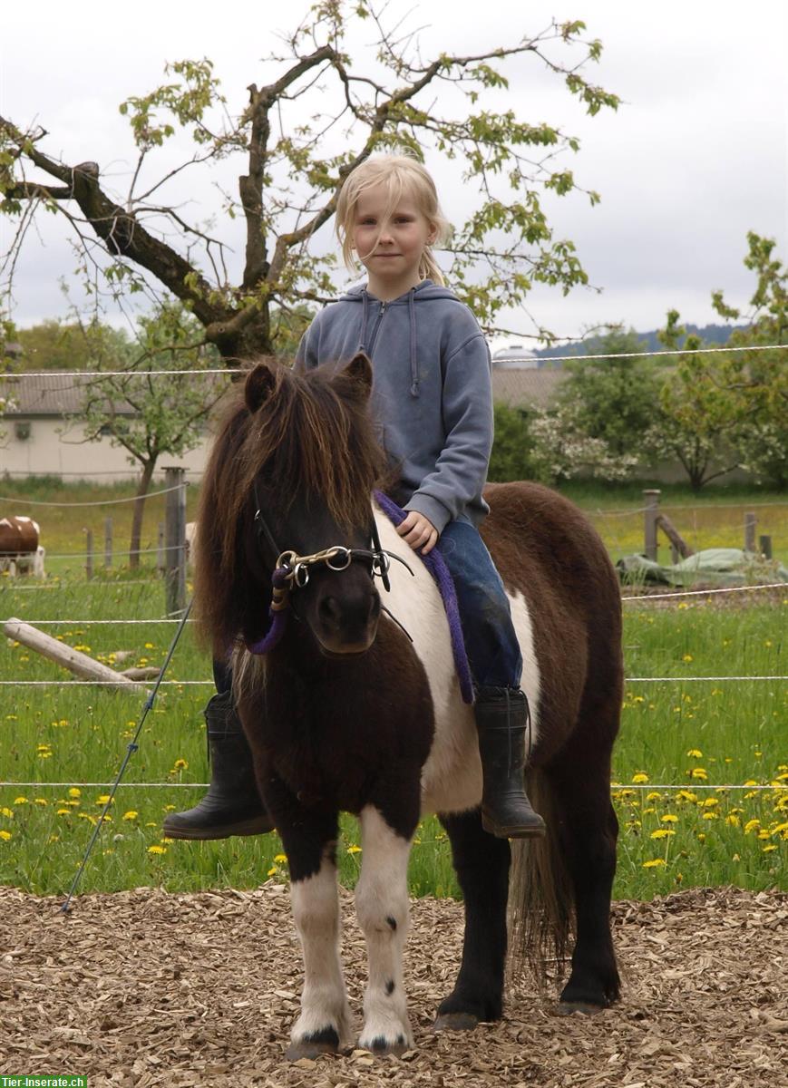 Bild 3: Reittherapie (EMR registriert), Reitunterricht, Akademische Reitkunst