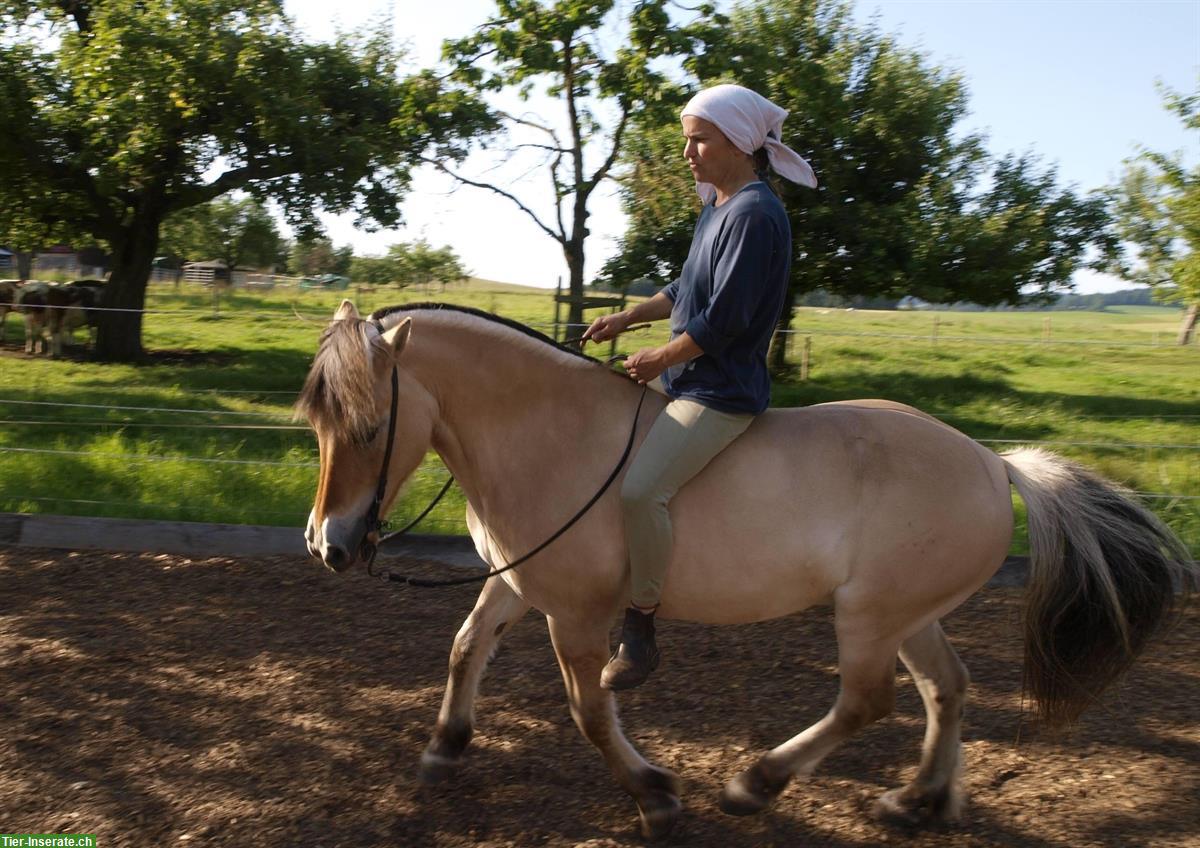 Bild 4: Reittherapie (EMR registriert), Reitunterricht, Akademische Reitkunst