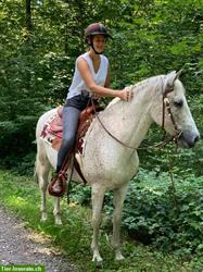 Reitbeteiligung für 14-jährigen P.R.E Wallach
