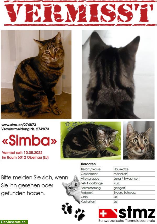 Kater Simba vermisst im Raum 6012 Obernau LU