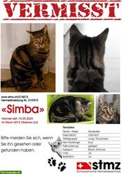 Kater Simba vermisst im Raum 6012 Obernau LU