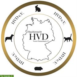 Rassehundeverein-Hundezuchtverein auch für Doodles & Poo's Papiere