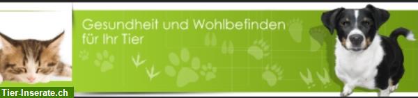 Mobile Tierkinesiologie / Tiertherapien