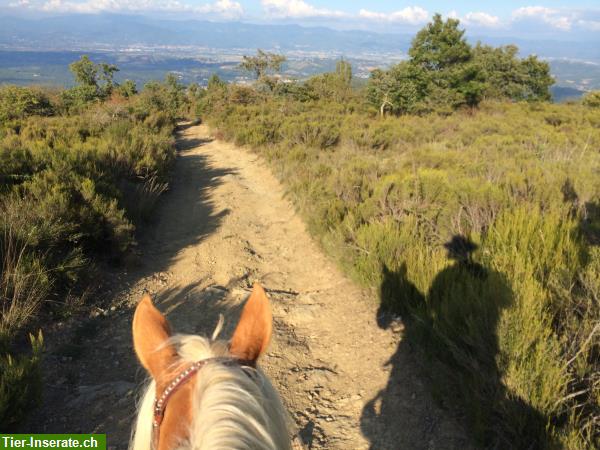 Bild 6: Yoga, Reiturlaub, Wandern in der wildromantischen Toskana