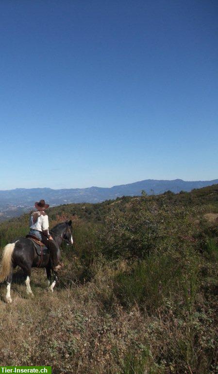 Bild 7: Yoga, Reiturlaub, Wandern in der wildromantischen Toskana