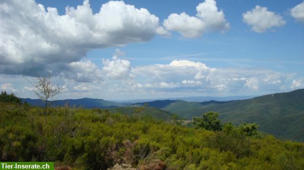 Bild 8: Yoga, Reiturlaub, Wandern in der wildromantischen Toskana