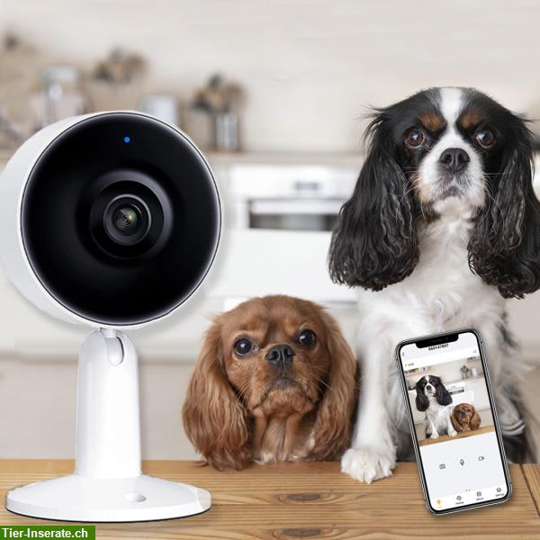 Bild 2: Schützen Sie Ihre Haustiere mit unseren Babyphone-Kameras