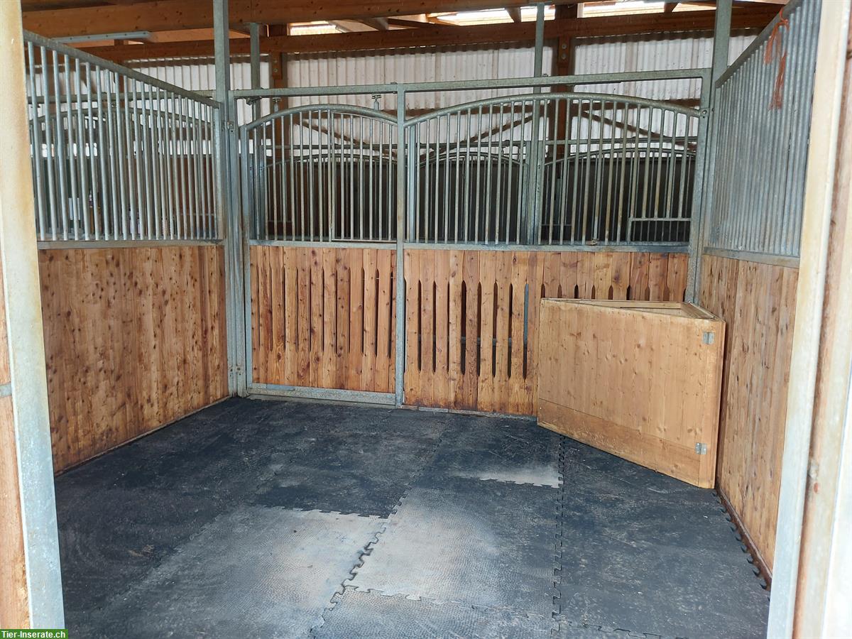 Bild 5: Pferdebox mit Paddock, Paddockbox, Einstellplatz