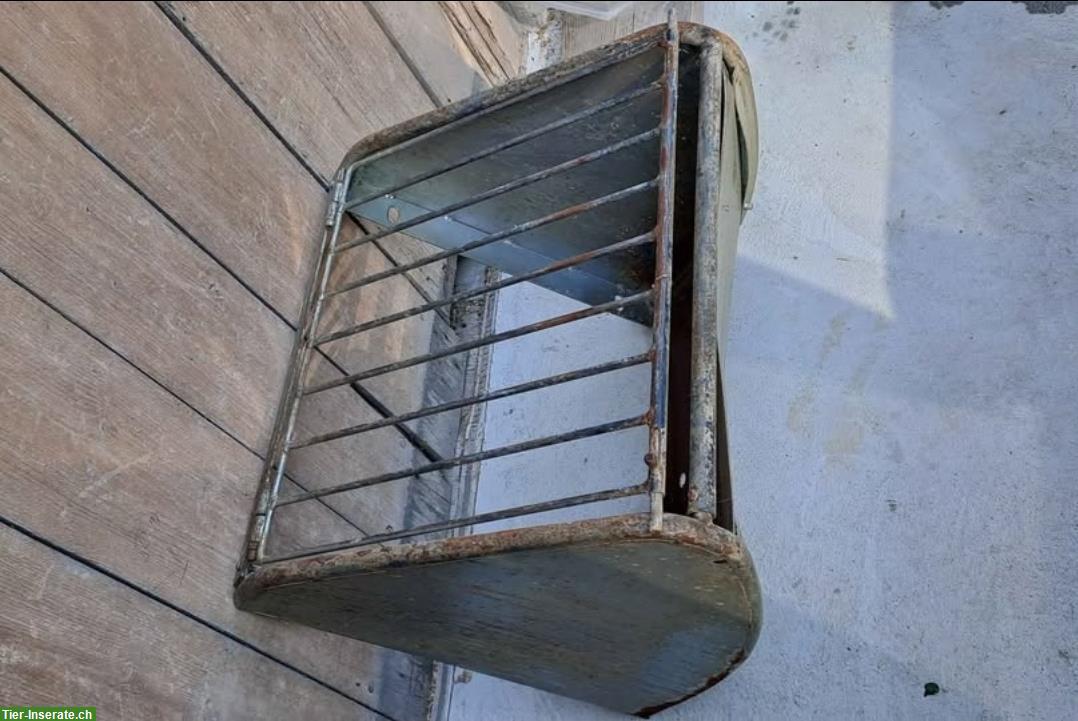 Bild 5: Heuraufe / Ohrengarn taubegrau/orange stretch Ohren