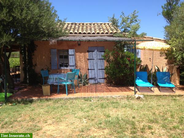 Tierfreundliches Ferienhaus in den Reben, Cotignac, Südfrankreich