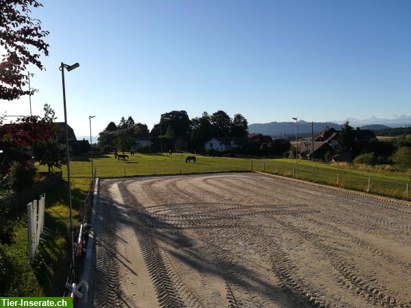 Bild 4: Pferdeboxe, 2 - 3er Pferdeboxe oder Kleingruppenstallplatz mit Auslauf