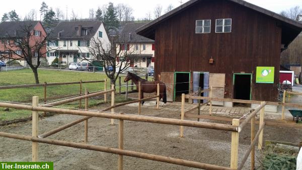 Bild 3: Vermieten Pferdeboxen in Diegten BL