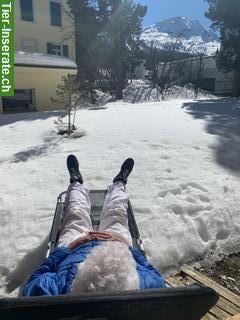 3 Studios in Wohngemeinschaft CHAMPFER, Oberengadin