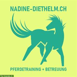 Pferdebetreuung und Pferdetraining