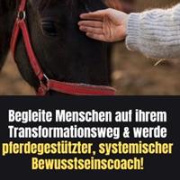 Praxisausbildung zum zert. Integralhorse® Bewusstseinscoach