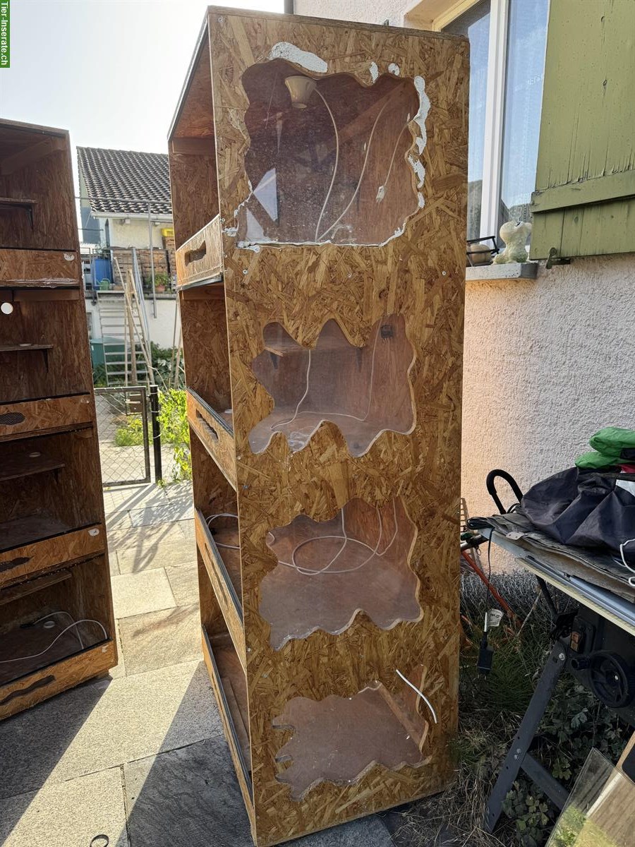 Bild 6: Volleingerichtetes Spinnenterrarium aus Glas