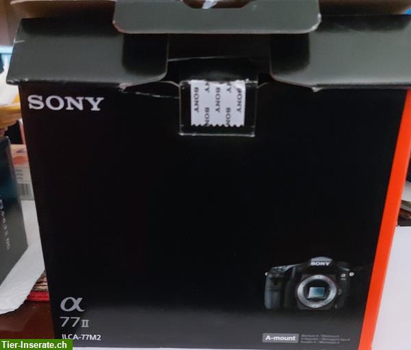 Bild 5: Geniale Kamera von Sony für Pferdebilder