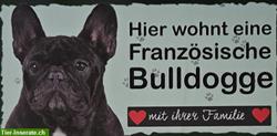 Hunde Holzschild Französische Bulldogge