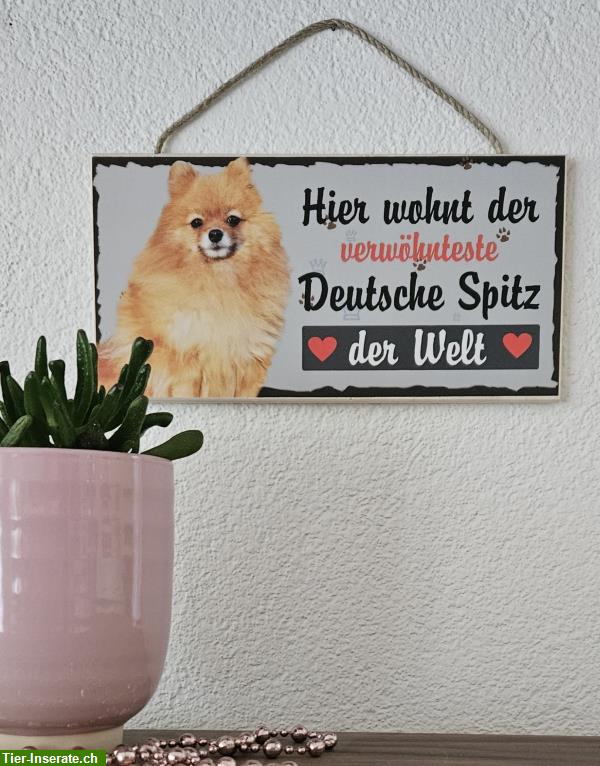 Bild 2: Hunde Holzschild, Deutscher Spitz