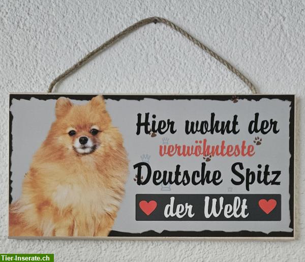 Bild 3: Hunde Holzschild, Deutscher Spitz