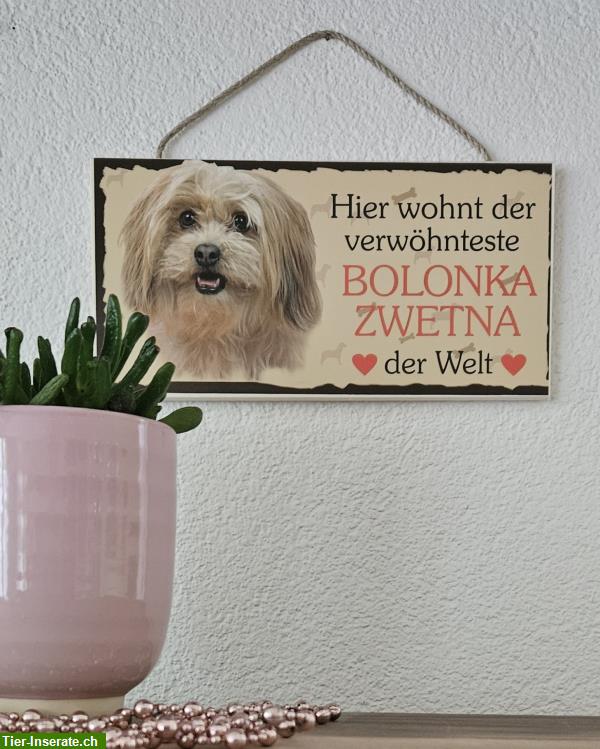 Bild 2: Hunde Holzschild Bolonka Zwetna