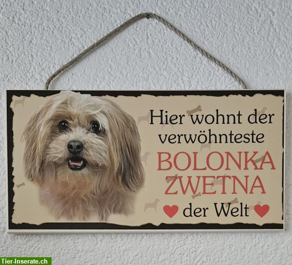 Bild 3: Hunde Holzschild Bolonka Zwetna