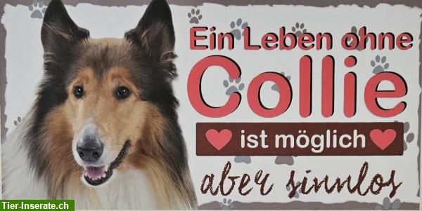 Hunde Holzschild Collie mit Kordel zum Aufhängen