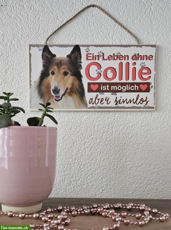 Bild 2: Hunde Holzschild Collie mit Kordel zum Aufhängen