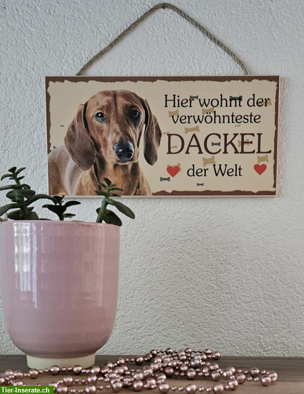 Bild 2: Hunde Holzschild Dackel mit Kordel zum Aufhängen