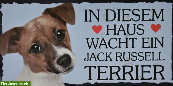 Bild 1: Hunde Holzschild Jack Russell Terrier