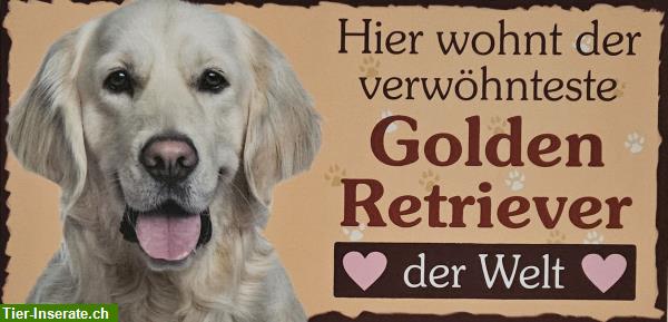 Hunde Holzschild Golden Retriever