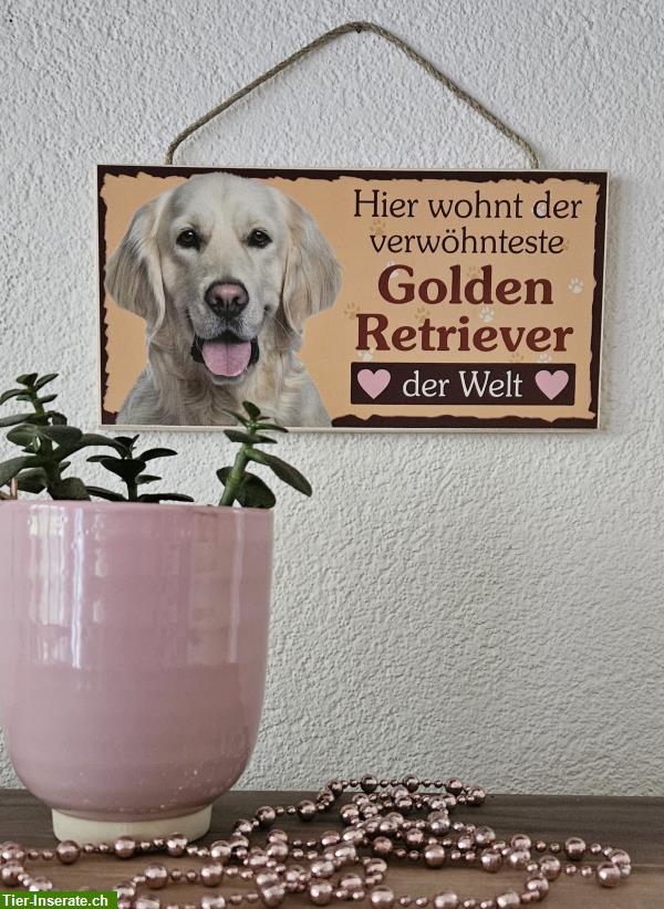 Bild 2: Hunde Holzschild Golden Retriever