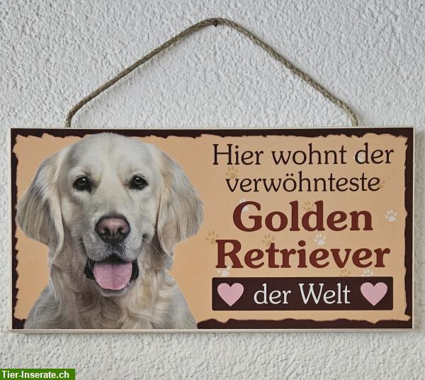 Bild 3: Hunde Holzschild Golden Retriever