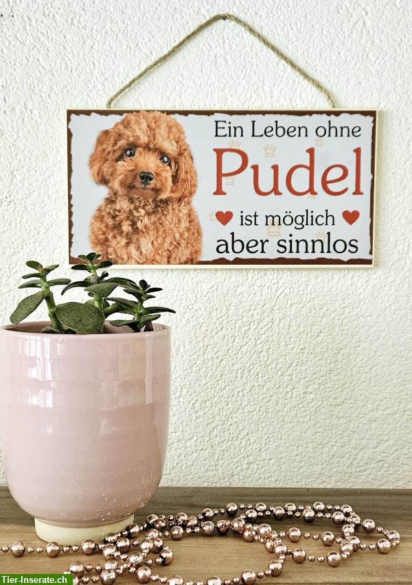 Bild 2: Hunde Holzschild Pudel mit Kordel zum Aufhängen