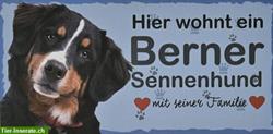 Hunde Holzschild Berner Sennenhund