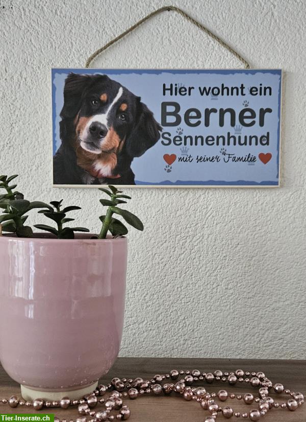 Bild 2: Hunde Holzschild Berner Sennenhund