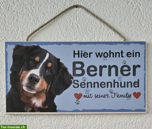 Bild 3: Hunde Holzschild Berner Sennenhund