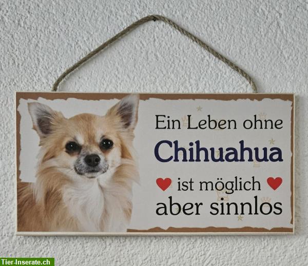 Bild 3: Hunde Holzschild Chihuahua mit Kordel zum Aufhängen