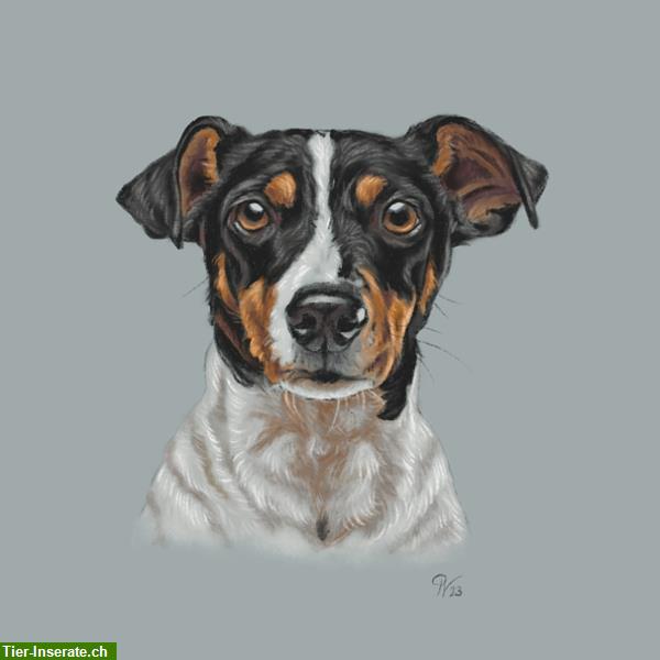 Bild 2: Besonderheit: Hundeportraits / Tierportraits ab Foto im Miniformat