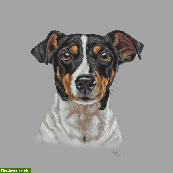 Bild 3: Besonderheit: Hundeportraits / Tierportraits ab Foto im Miniformat