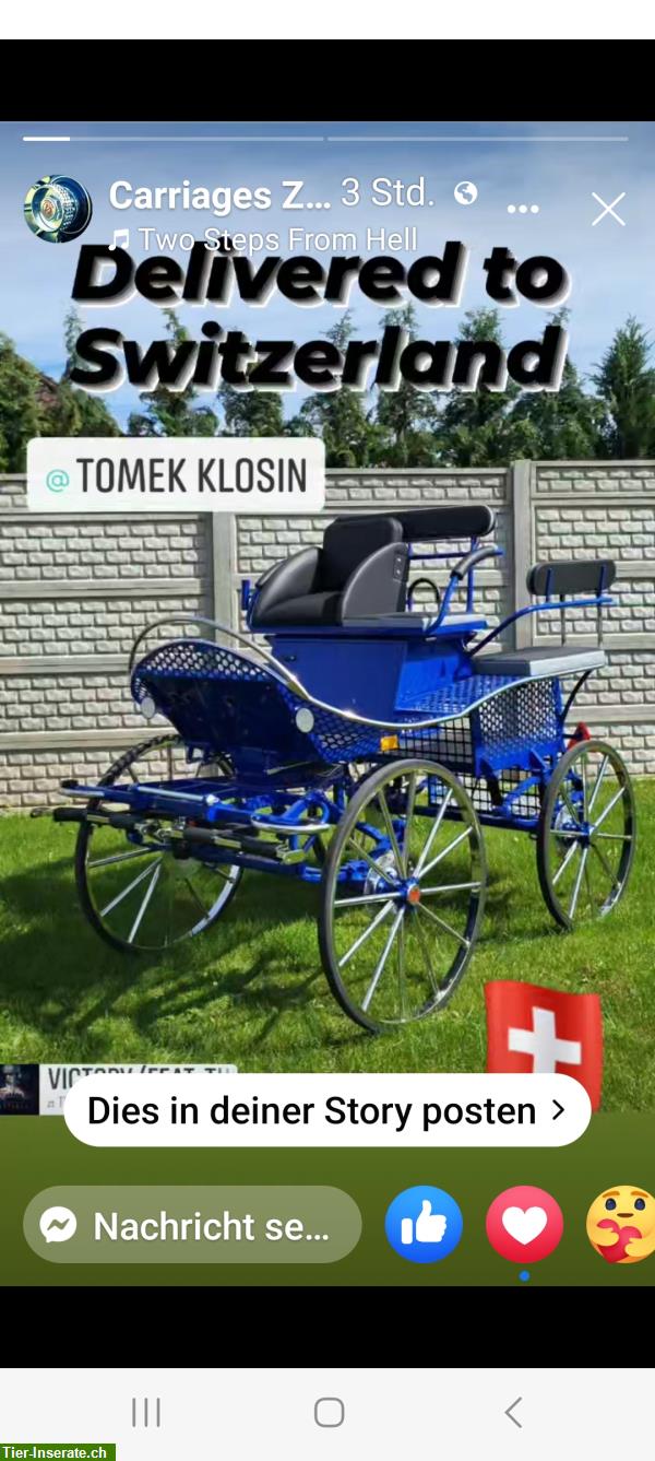 Bild 2: MarTom Erste Mobile Kutschenservice in der Schweiz