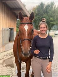 Pferdefachfrau bietet Reitunterricht in Balgach SG