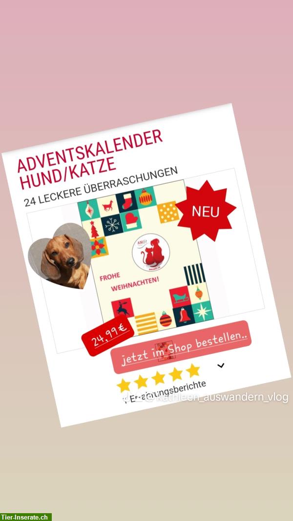 Bild 2: Weihnachtskalender für Hunde & Welpen, Leckerlies im Advendskalender