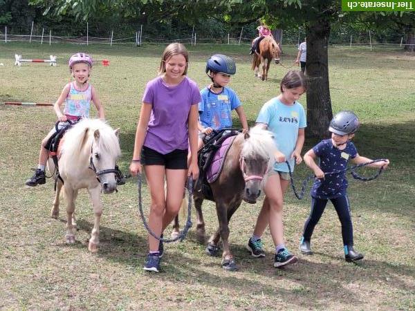 Bild 2: Pflegepony für Pferdeerfahrenes Mami mit Kind/er