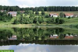 Plätze für Pferde oder Ponys in Dachsberg, Deutschland, Baden-Württemberg