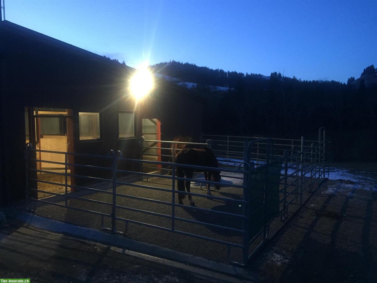 Pferdeboxe mit Auslauf in Escholzmatt, Entlebuch